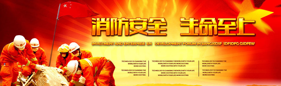 ������ȫ������������